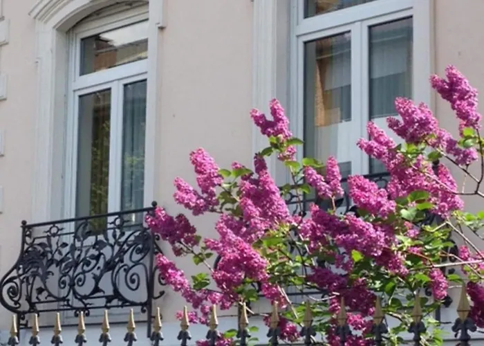 Hotel Beethoven 4*